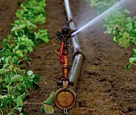 Otomatik Sulama Sistemleri