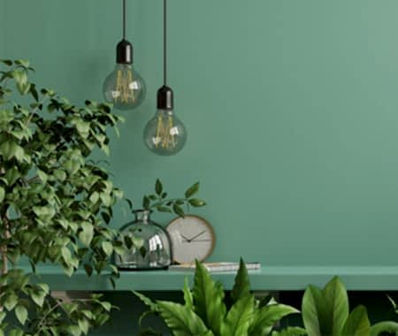 İç Mekan Bitkilendirme